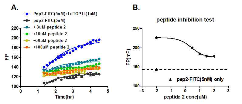 펩타이드 저해제를 이용한 LdTOP1L과 LdTOP1S 간의 상호 작용 탐색 FP 어세이 시스템의 검증