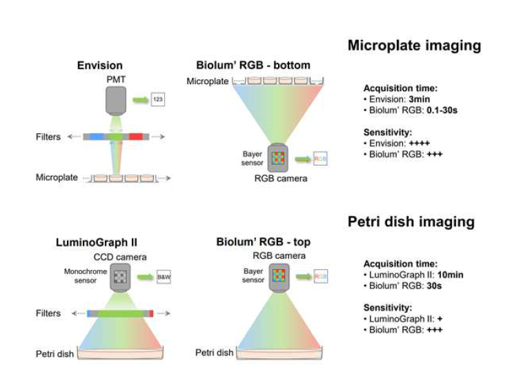 상용 마이크로 플레이트 리더기, 생물발광 이미징 장비와 Biolum' RGB의 비교