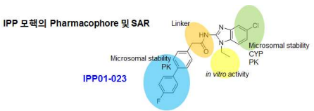 IPP모핵에 대한 SAR 연구