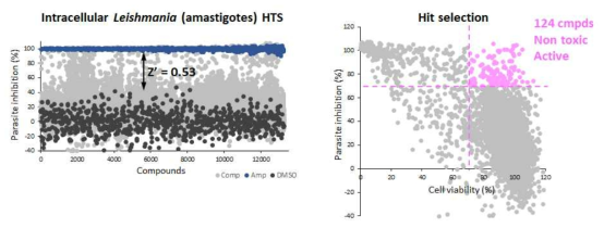 내장형 리슈만편모충 amastigote에 대한 신약재창출 라이브러리 스크리닝