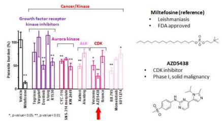 kinase 저해제 기반 선정 항암제의 항리슈만편모충 전임상 약효