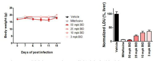 CDK 저해제인 AZD5438의 in vivo 항리슈만편모충 약효 평가(dose lowering study)