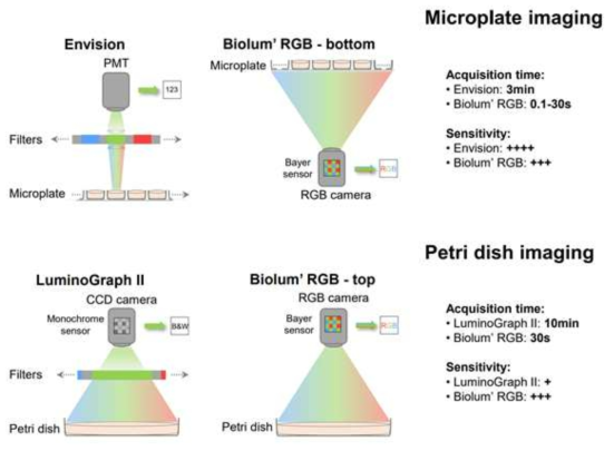 상용 마이크로 플레이트 리더기, 생물발광 이미징 장비와 Biolum' RGB의 비교