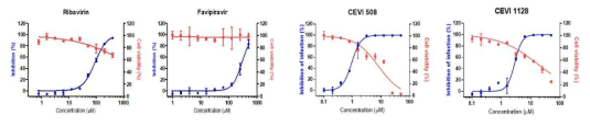 코로나바이러스 감염에 효능을 보인 CEVI 화합물의 항 SFTS 바이러스 효능 평가