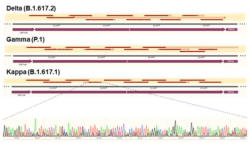 스파이크 유전체의 염기서열을 reference 염기서열에 alignment한 결과의 예시