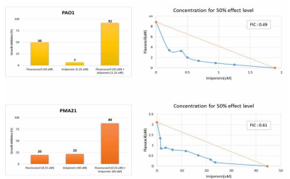카바페넘과 플루오로유라실(Fluorouracil)의 checkerboard assay를 통한 자연형균주(PAO1)와 카바페넘 내성균에 대한 복합약물 효능 검증