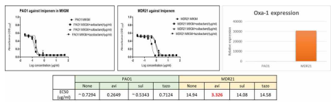3종의 베타락탐분해효소 저해제의 PAO1과 MDR21에 대한 효능 평가 및 MDR21에서의 베타락탐분해효소인 Oxa-1의 발현 확인