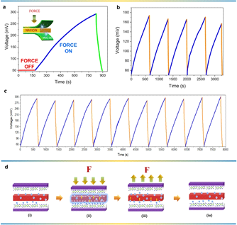 Self-charging performances and mechanism of the MoS2 SCSPC utilizing Nafion solid electrolyte. (a) The self-charging profile of MoS2 SCSPC indicating the device voltage (when no applied force, force ON (10 m/s2), force OFF(discharge using an applied current of 50 μA). The inset in Fig. (a) shows the schematic representation of the device structure of the MoS2 SCSPC. (b-c) continuous self-charging profiles of the MoS2 SCSPC subjected to an external force using a linear motor with an acceleration of 5 and 10 m s−2, respectively and the device is discharged using 50 μA of discharge current, (d) Self-charging process governed via piezo-ionic driven energy harvesting-, conversion- and storage process in the MoS2 SCSPC using Nafion.