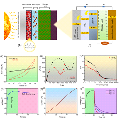 Photovoltaically self-charging performance of MoS2 QSs incorporated PVDF film, (A-B) Schematic illustration of PSCPC and proposed working mechanism with electronics band structure, (C) Comparative cyclic voltammetry (CV) profile at 200 mV s −1, (D) Comparative Nyquist plot, (E) Comparative EIS plot of PSCPC device with and without the illumination of light. (F) Photovoltaically self-charging /discharging voltage profile as a function of time. (G) Self-charging photocurrent profile as a function of time. (H) Photovoltaically self-charging/galvanostatic discharge profile at various current densities (25,30,40 μA cm−2)