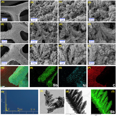 Field-emission scanning electron microscopy (FE-SEM) of antimonene electrodeposited for various time intervals. Images at various magnifications of (A–D) antimonene/3DNi-5, (E–H) antimonene/3DNi-10 and (I–L) antimonene/3DNi-15, (M) overlay map of antimonene/3DNi and (N–P) elemental maps of Sb, Ni and C present in antimonene/3DNi, (Q) energy-dispersive X-ray spectrum of antimonene/3DNi-15 for the image shown in (I), (R-S) high resolution-transmission electron microscopy (HR-TEM) images of antimonene dendrites, and (T) shows the corresponding Sb elemental map of the nanodendrites given in (S).