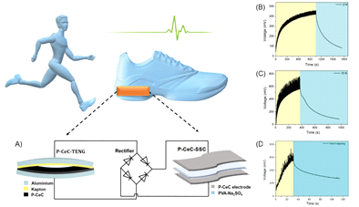 Application of P-CEC SPS. (A) Schematic representation of the SPS, (B and C) self-charging properties of the P-CEC SPS under various mechanical force (2 N and 15 N), respectively, and (D) self-charging properties of the P-CEC SPS upon hand flapping.