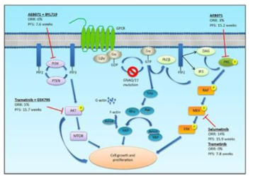 of carcinogenesis pathways and various clinical trial results activated by GNAQ/GNA11 (GPCR) mutation in uveal melanoma