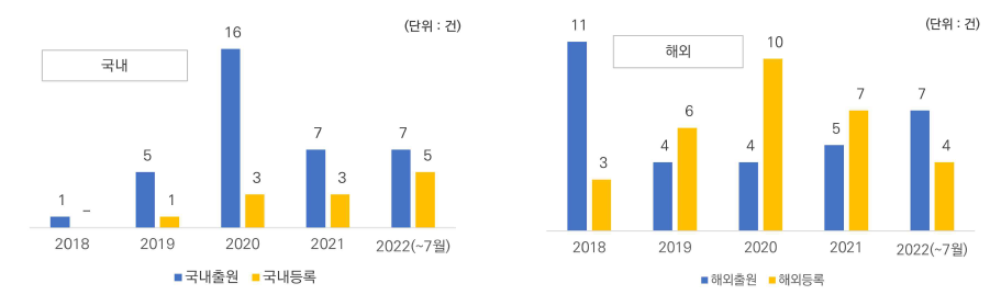 최근 5년 (’18~’22) IPK 국내·외 구분 특허 창출 성과