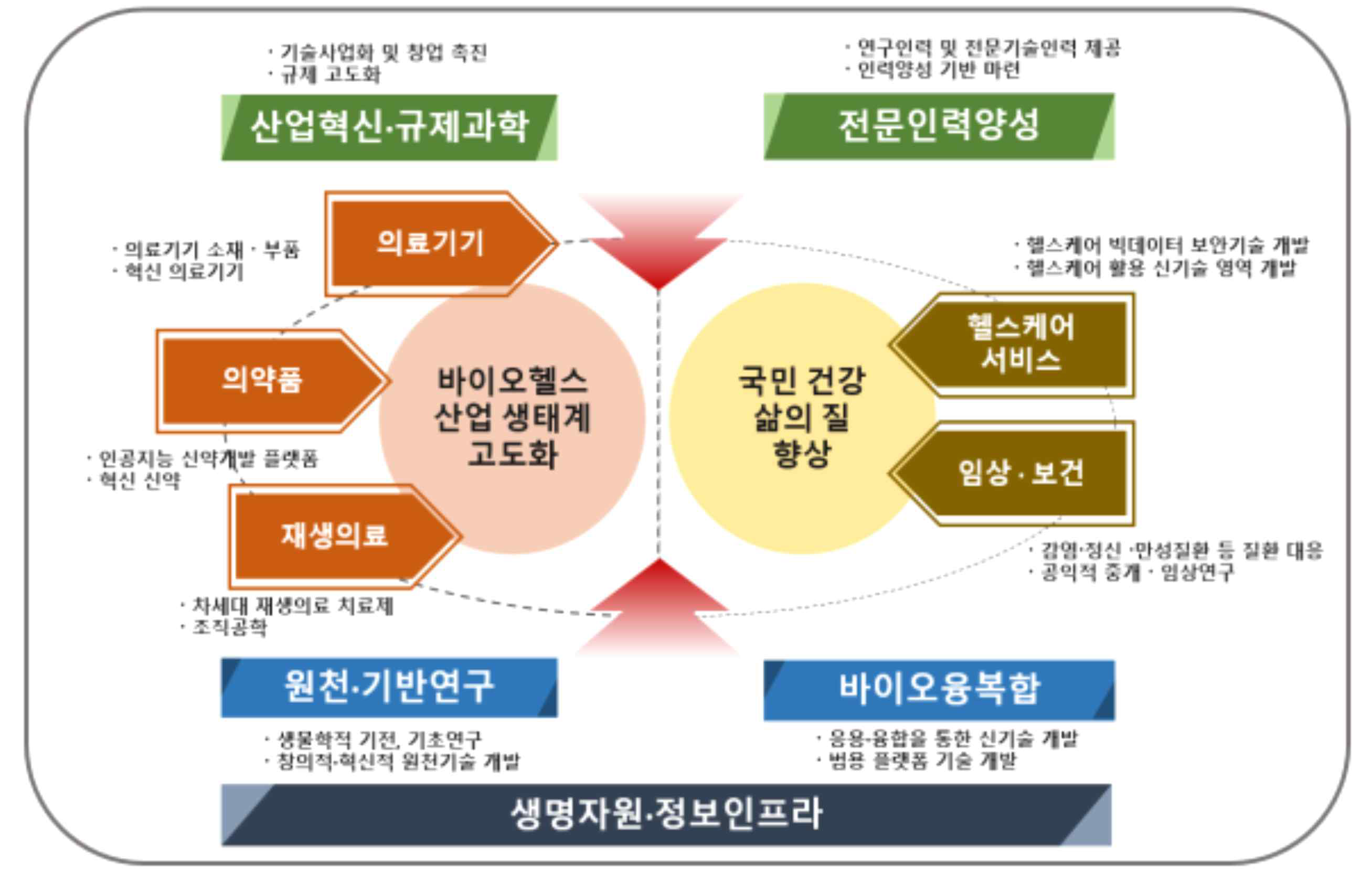 바이오헬스 분야 분야별 체계도