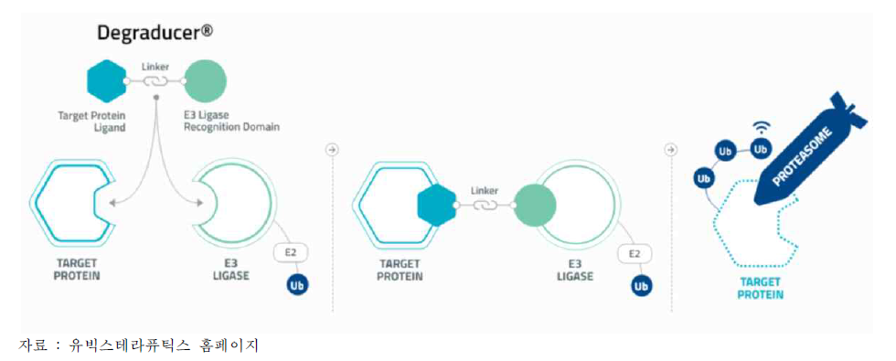 유빅스테라퓨틱스의 PROTAC 플랫폼