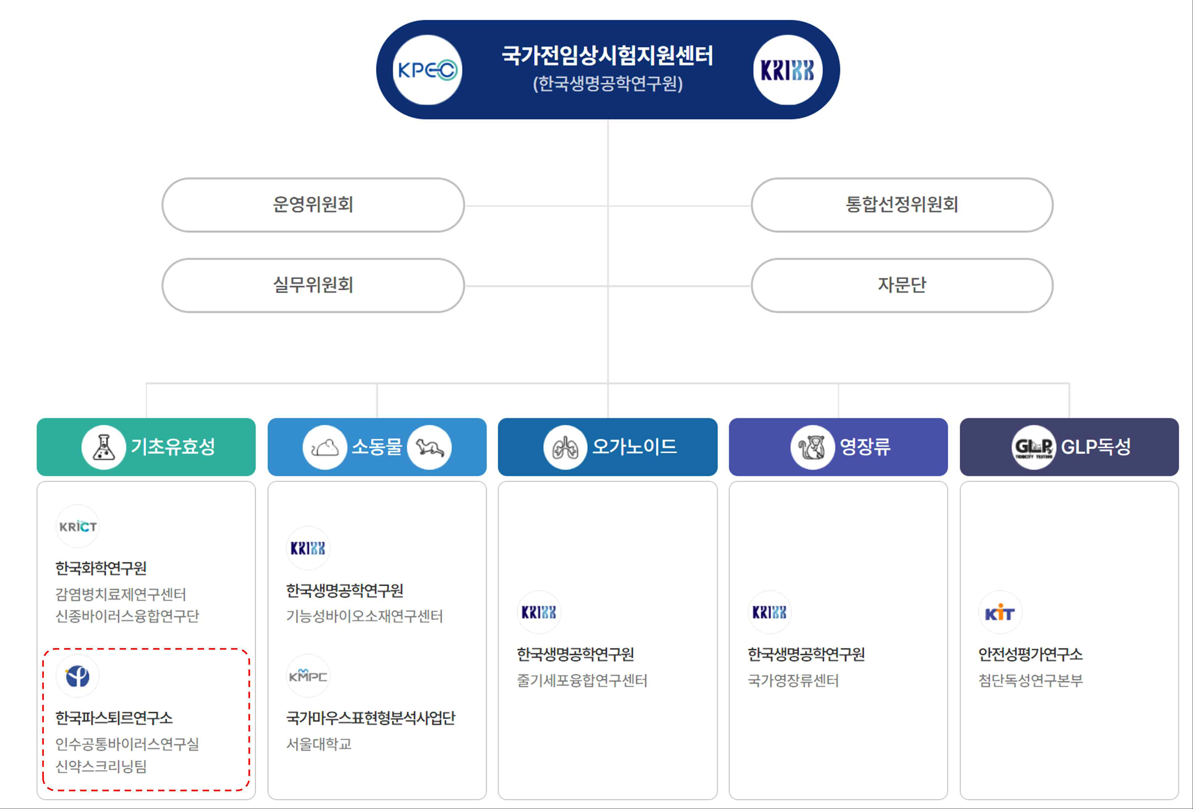 국가전임상시험지원센터 조직 구조 바이러스 연구자원센터