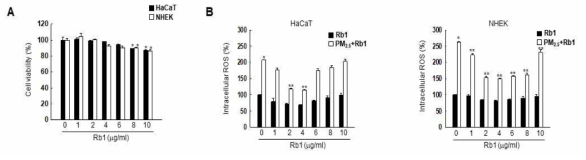 진세노사이드 Rb1의 세포 독성 여부 및 활성산소종 제거율 측정