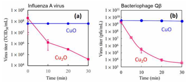 Cu1+ (Cu2O), Cu2+ (CuO)의 인플루엔자, 박테리오파 지 바이러스에 대한 비활성화 효과(M. Miyauchi et al., Catalysts (2020))