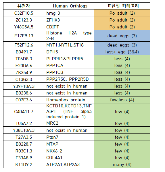 RNAi 스크린의 결과 표현형을 보인 유전자 목록과 표현형 카테고리 분류