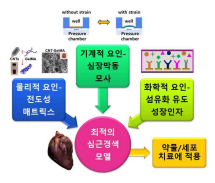 최적의 심근경색 모델 개발을 위한 심근 미세환경에 작용하는 다양한 요인들을 통합적으로 적용. 그리고 개발된 심근경색모델의 활용