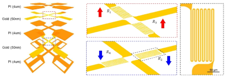 Polyimide, Gold 의 적층 구조 및 각 레이어의 Piezoresistive sensor