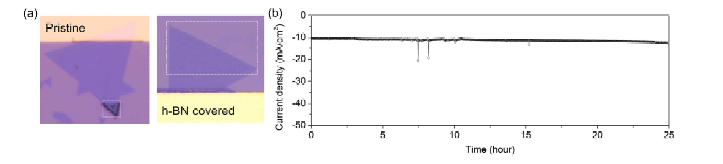 (a) 전기화학 수소생산 반응 후, 기본 MoS2 촉매와 h-BN이 덮인 MoS2 촉매의 이미지. (b) h-BN의 layer가 덮인 MoS2의 우수한 촉매 안정성.
