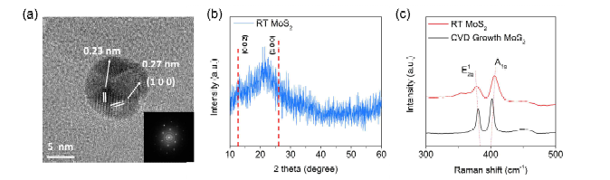 (a) 상온/상압 MoS2의 TEM 분석. Hexagonal 구조를 확인할 수 있으며 MoS2의 결정성 확인. (b) XRD 구조 분석을 통한 격자 확인 (c) Raman spectroscopy를 통한 층수 및 MoS2의 구조 확인.