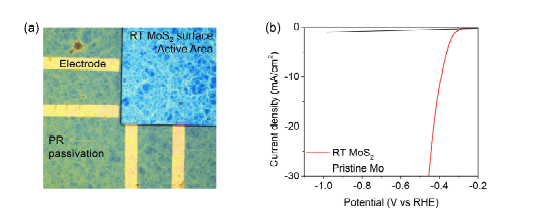 (a) 대면적 MoS2 소재의 수소생산 특성평가를 위한 소자 이미지. (b) LSV curve 측정을 통한 상온/상압 MoS2 소재의 수소생산 특성평가.