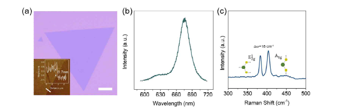 CVD를 통해 합성한 2차원 MoS2 소재의 (a) 현미경을 통해 확인한 결정구조 이미지. (b) Photoluminescence(PL)와 (c) Raman spectra를 통해 결정성 검증.