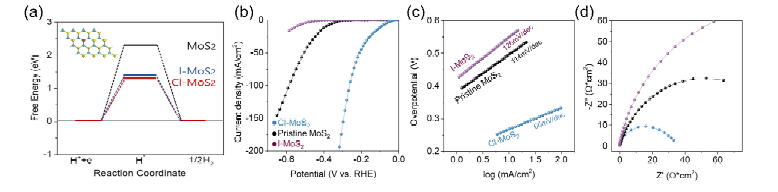 Halide atom doping에 따른 촉매 표면에서 수소이온의 흡착에너지 변화 분석. (a) DFT 계산을 통한 흡착에너지 계산. (b) LSV curve, (c) Tafel plot, (d) Nyquist plot을 통한 전기화학적 수소생산 특성 분석.