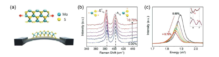 (a) PET 기판 위의 MoS2 소재의 strain engineering 모식도. (b) Raman spectra에서 나타나는 strain 정도에 따른 peak behavior. (c) Strain 인장 강도에 따른 PL spectra.