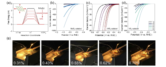 Strain 인장 강도에 따른 전기화학 성능평가. (a) Tensile strain에 따른 수소이온과 흡착에너지 계산. (b) MoS2, (c) WS2, (d) VS2 소재의 strain에 따른 LSV 성능평가. (e) Tensile strain이 인간된 수소생산 소자.
