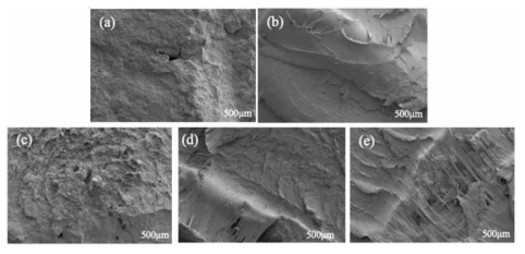 생분해성 플라스틱 블렌드 PHB/TPS의 표면 분석(SEM) 결과 (a) PHB100, (b) TPS100, (c) PHB75/TPS25, (d) PHB50/TPS50, (e) PHB25/TPS75