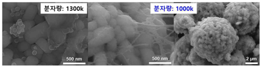 분자량 최적화 과정