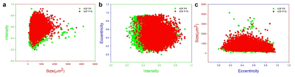 나노센서/마이크로칩에 주입한 hDF 두 세포군의 물리적 형질 추출 데이터. (a) 굴절율 vs 크기, (b) 이심률 vs 굴절율, (c) 크기 vs 이심률 그래프