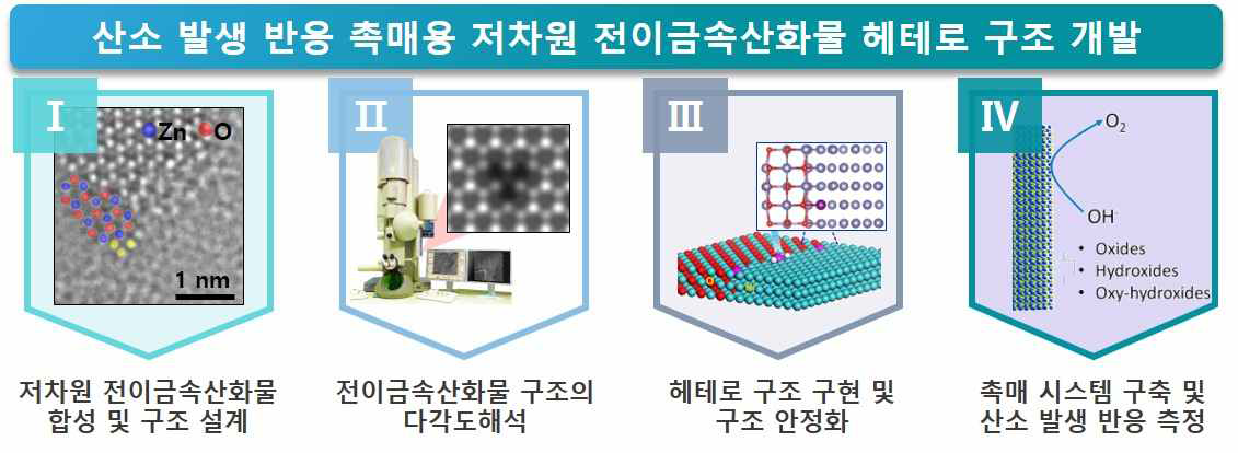 연구과제의 개요도