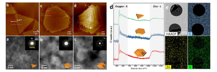 Zinc oxides 나노시트의 AFM, TEM, EDS, EELS 결과