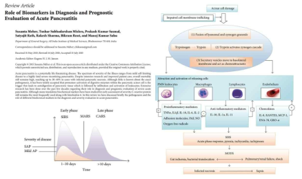 췌장염의 병태생리학적 기전에 의거한 biomarker 후보 탐색