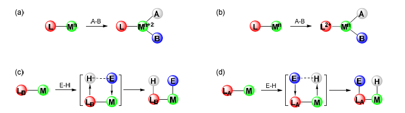 (a) 전통적으로 활용된 금속의 산화에 의한 산화적 A-B 결합 첨가반응 (b) 리 간드의 산화에 의한 산화적 A-B 결합 첨가반응 (c) Lewis 염기를 이용한 금속-리간드 협동성 E-H 결합 첨가반응 (d) Lewis 산을 이용한 금속-리간드 협동성 E-H 결합 첨 가반응