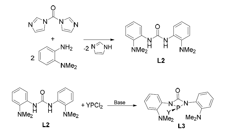 새롭게 도전한 N-헤테로고리 인 리간드의 합성