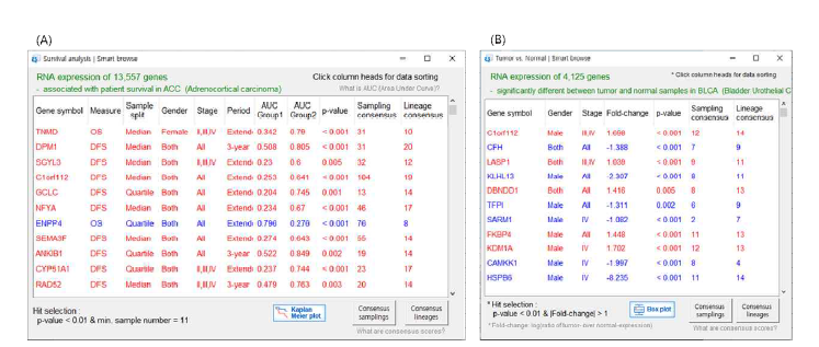 Q-omics를 이용한 (A) TCGA ACC (부신질환 종양)에서 유전자 발현에 따른 환자 생존율 분석. (B) TCGA BLCA (방관암)에서 tumor vs. normal 분석 예