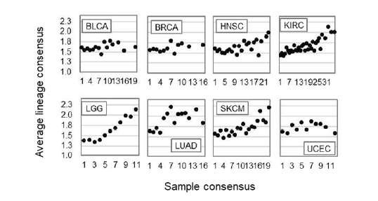 암종별 환자 예후예측 유전자의 sample consensus와 lineage consensus 관계