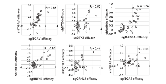 CRISPR vs RNAi 항암효과 비교