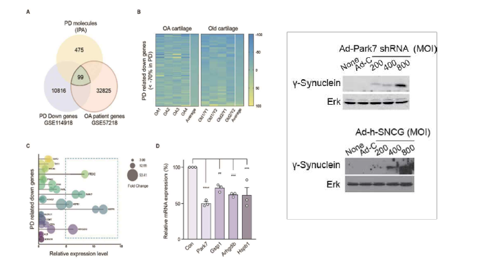 OA patient gene과 PD molecules, PD down gene에서 RNA seq을 진행한 결과