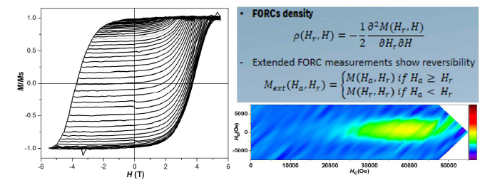 First Order Reversal Curves 측정과 FORCs density 계산, 결과