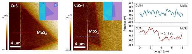 CuS 전극과 MoS2의 Kelvin Probe Force Microscopy (KPFM) 측정