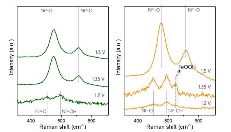 NiOx 전극과 Fe-NiOx 전극의 실시간 라만 분광학 분석 결과 스펙트럼.