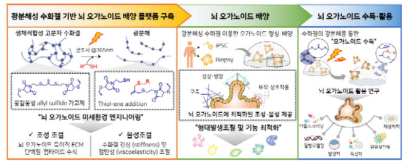 본 연구개발의 모식도