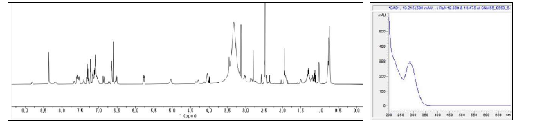 WS9326P의 1H NMR 스펙트럼(좌)과 UV 스펙트럼(우)