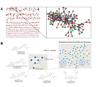 Molecular networking을 이용 한 대사체 프로파일링